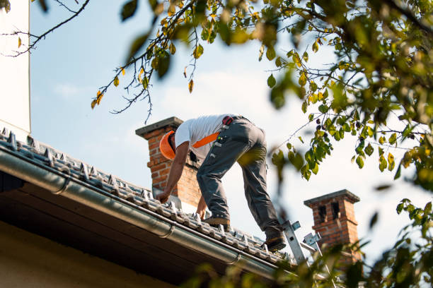 Quick and Trustworthy Emergency Roof Repair Services in Roseville, MI