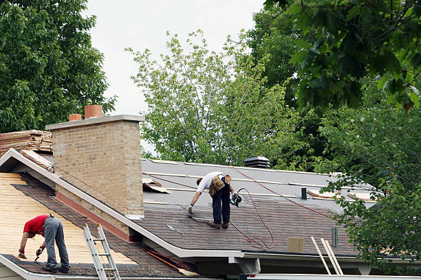 Best Roof Waterproofing Services  in Roseville, MI